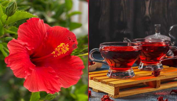 Hypertension | 7 ways that hibiscus tea reduces risk of hypertension