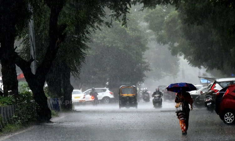 Maharashtra Weather Update rainfall possible in south konkan imd give yellow alert to 4 district latest weather forecast