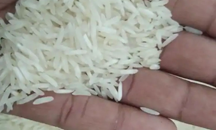 Multibagger Stock basmati rice manufacturing company delivered 3455 return in 3 year investors 1 lakh turn to 35 lakh rupee