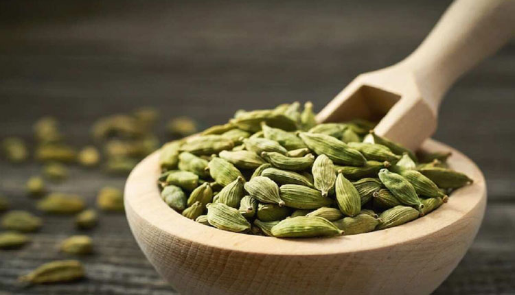 Cardamom | cardamom treating blood pressure and asthma know the health benefits of its