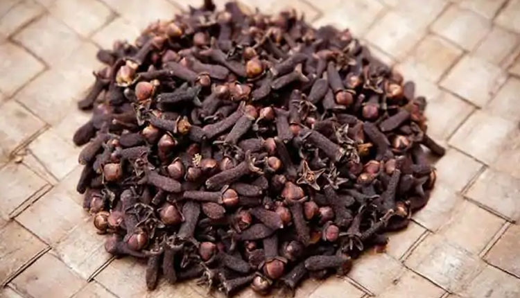 Benefits Of Cloves | clove is great for liver diabetes stomach teeth and bones this household item controls blood sugar level health benefits of clove