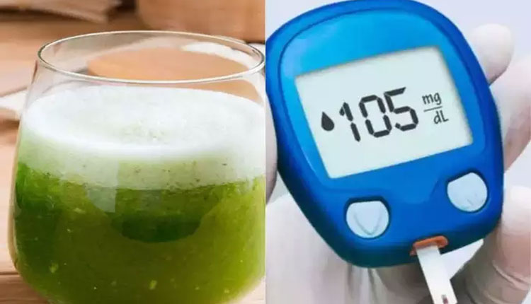 Drinks For Diabetes | ncbi study reveal drinking bitter bitter gourd juice or karle ka juice lowers blood sugar within 120 minutes