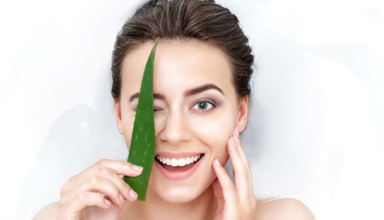 Aloe Vera | aloe vera plant health benefits and side effects hair face beauty weight loss