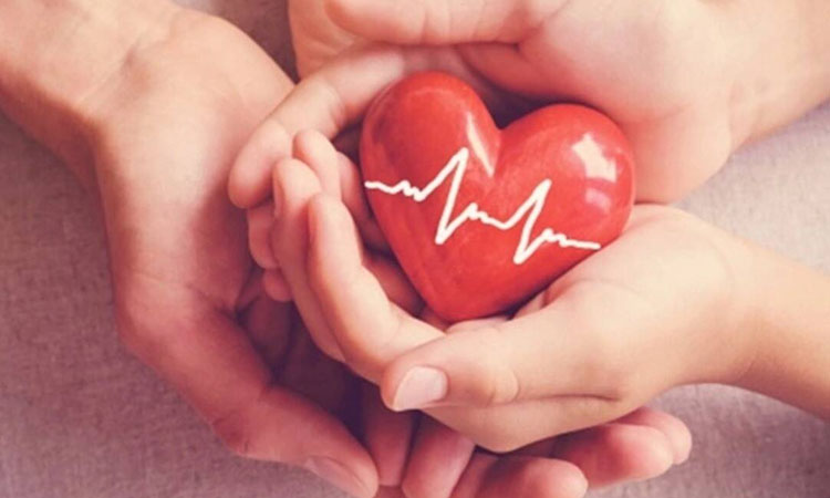 Healthy Heart | to keep the heart healthy read this news