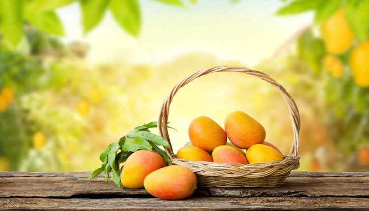 Uric Acid | 5 best summer fruits to control uric acid