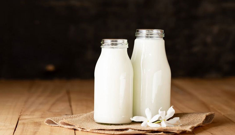Health Benefits | health benefits consumption of these things with milk can harm health know the reason