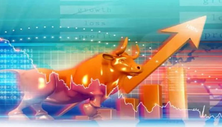 Stock Market these five shares may make you rich by next holi Stock Market Marathi News