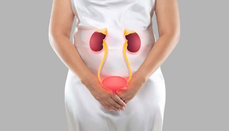 Urinary Tract Infection Symptoms | what are the symptoms of urinary tract infection know how to control it by diet