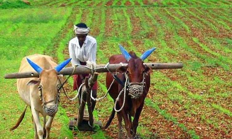 PM Kisan Mandhan Yojana | pm kisan mandhan yojana farmers will get rs 36000 every year and three thousand monthly know what they have to do