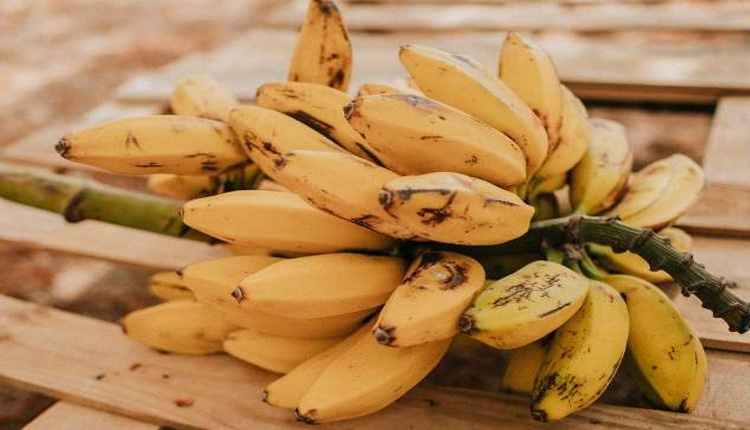 Benefits Of Eating Banana | health banana day 2022 10 benefits of banana you might didnt know about