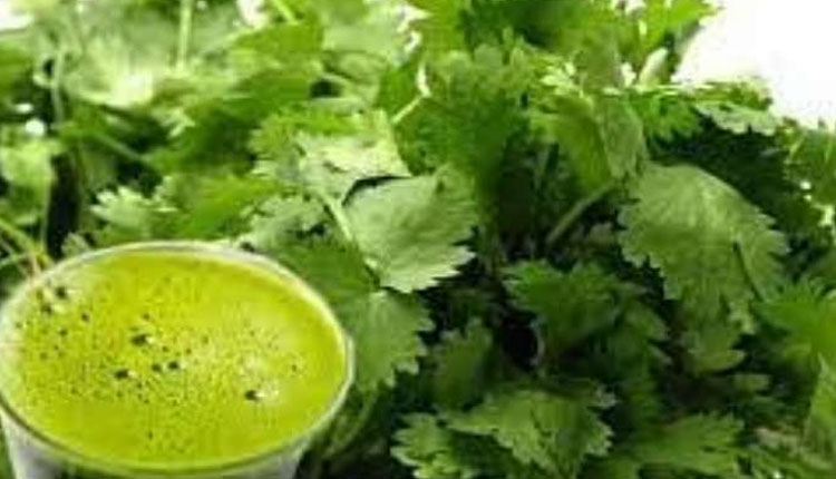 Blood Sugar Level Control | green coriander juice for control blood sugar