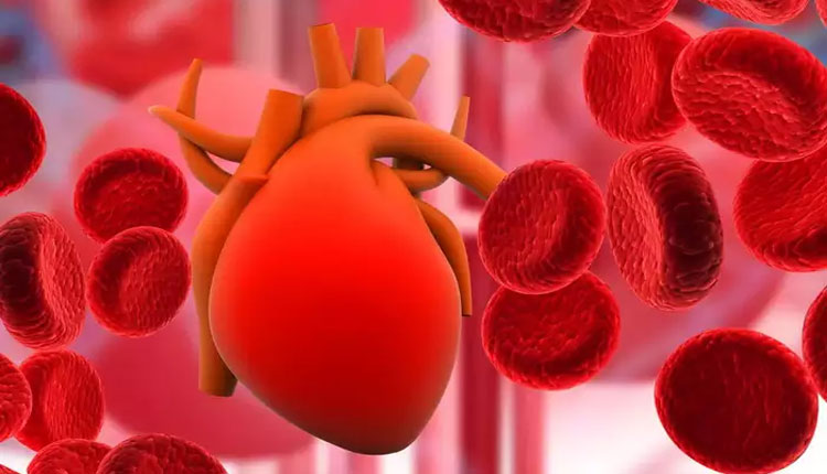How To Increase RBC | include 5 foods and supplements in your diet to increase red blood cells and hemoglobin naturally