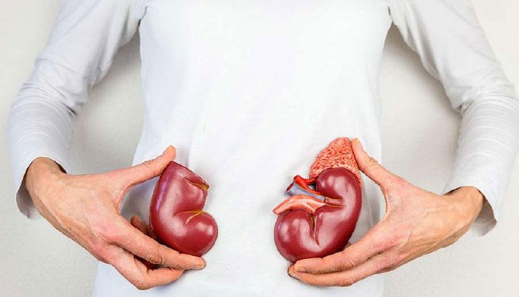 Kidney Stone | how to remove kidney stone treatment tomato tulsi holy basil juice