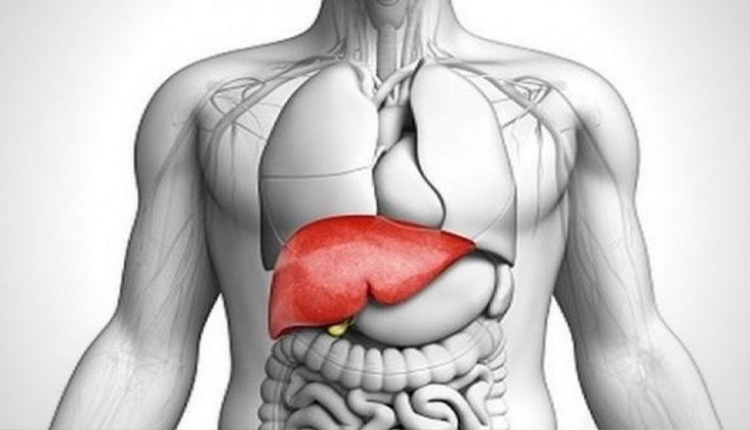 Healthy Liver | to keep the liver healthy include all these things in the diet