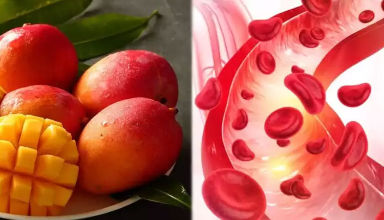 Mango Seeds Health Benefits | 5 amazing health benefits of mango kernel or mango seed to get rid cholesterol diarrhea heart disease