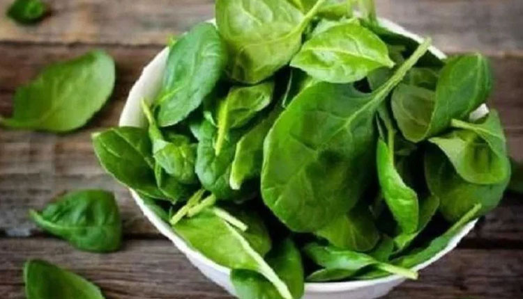 Spinach Side Effects | spinach side effects konw in details