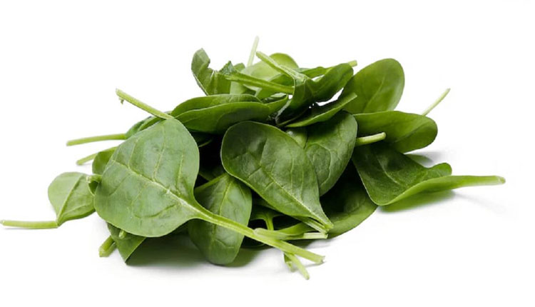 Spinach For Diabetes Control | amazing health and nutritions benefits of spinach for diabetes patients