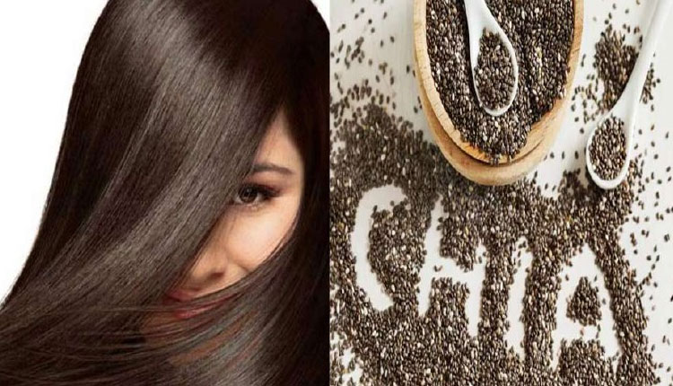 Tips For Hair Growth | hair growth will increase just include these seeds in your diet