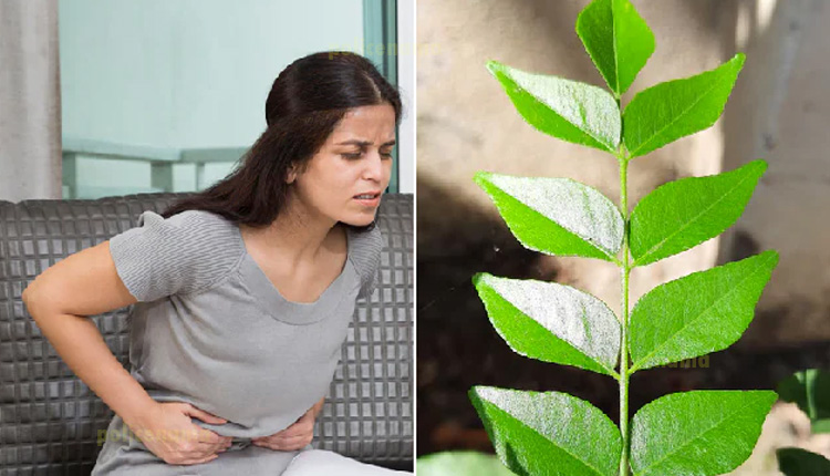 Healthy Leaves For Women | 3 healthy leaves for women to add in diet