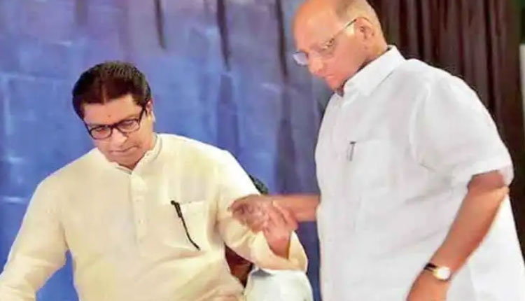 NCP Ravikant Varpe On Raj Thackeray ncp leader slams raj thackeray saying sharad pawar was mla when mns chief was born