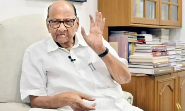 Sharad Pawar On Kakade-Taware Meeting | there is nothing different about kakade taware family meeting sharad pawar told media in govindbaug