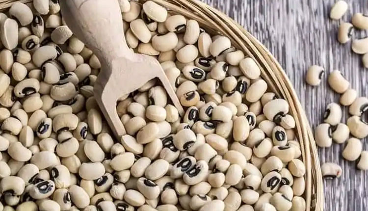 Benefits Of Protein Rich Cowpea | benefits of cowpea health benefits of protein rich cowpea lobia