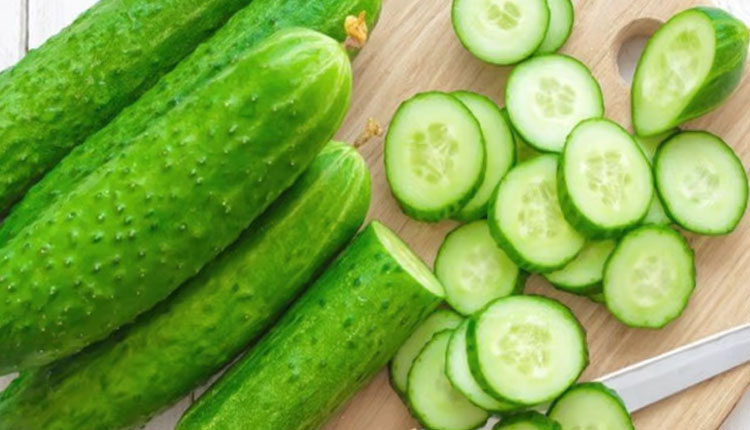 Cucumber Benefits | must eat cucumber in meals during summer know benefits