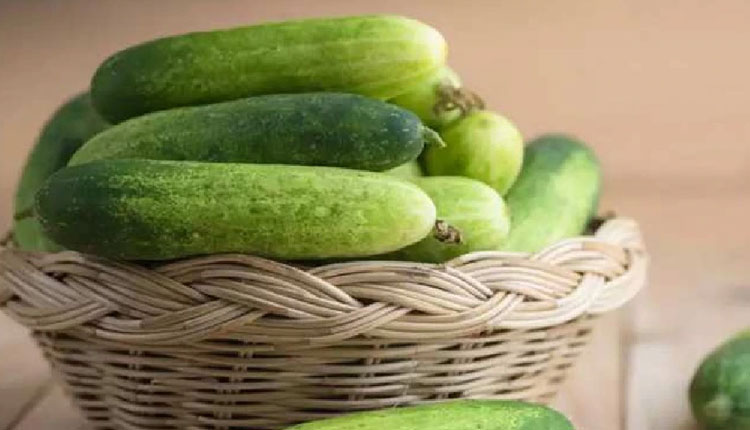 Tips For Buying Cucumber | hacks to buy sweet cucumber from market tips to remove bitterness