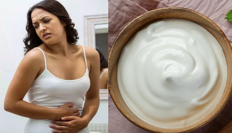 Curd In Periods | can a women eat curd or dahi during periods it is safe or not