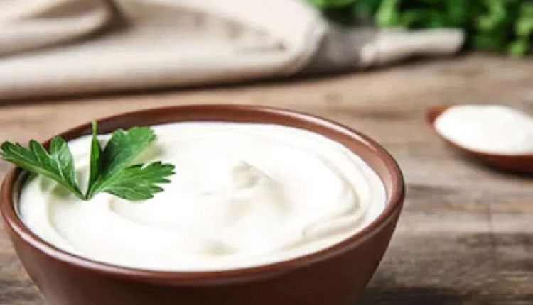 Curd Benefits in Summer | curd 4 benefits in summer helpful in bones digestive system losing weight consuming