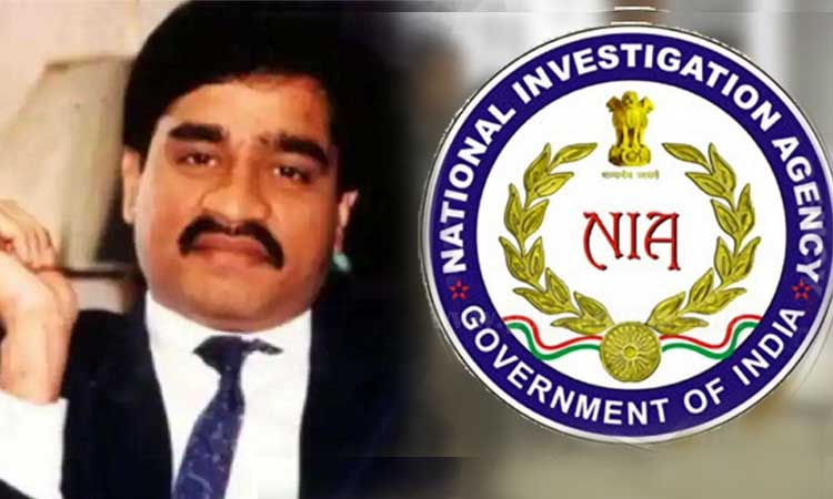D Gang Terror Funding Case d gang terror funding case shocking information in front of nia raid in mumbai 87 more on the radar