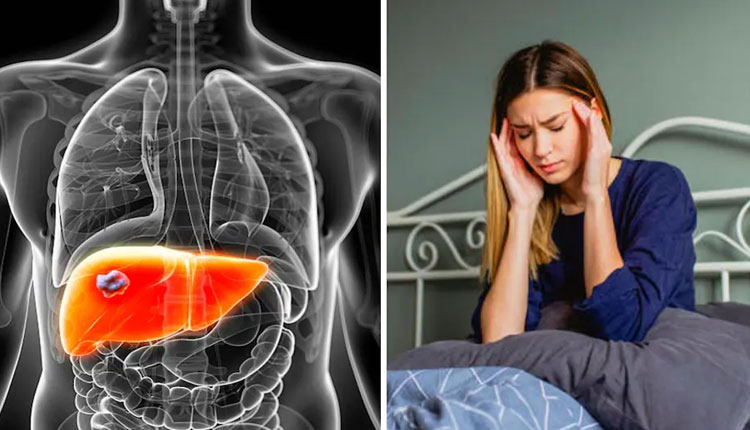 Fatty Liver Disease | fatty liver disease symptoms causes treatment prevention non alcoholic fatty liver disease