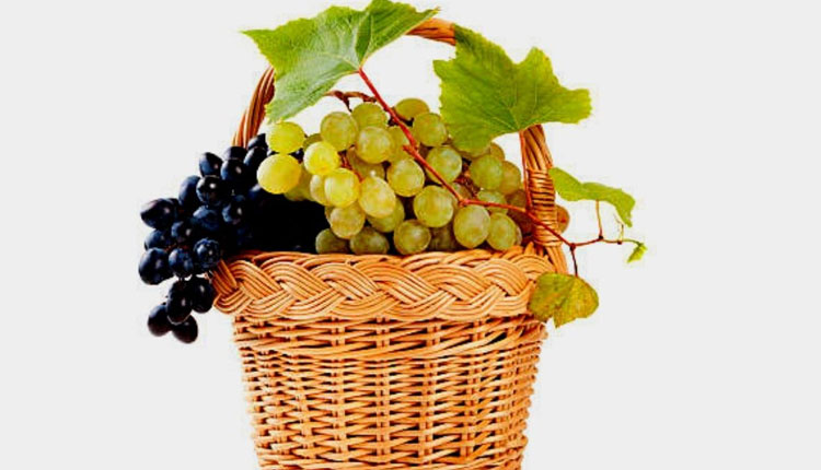 Black And Green Grapes | which is most beneficial among black and green grapes