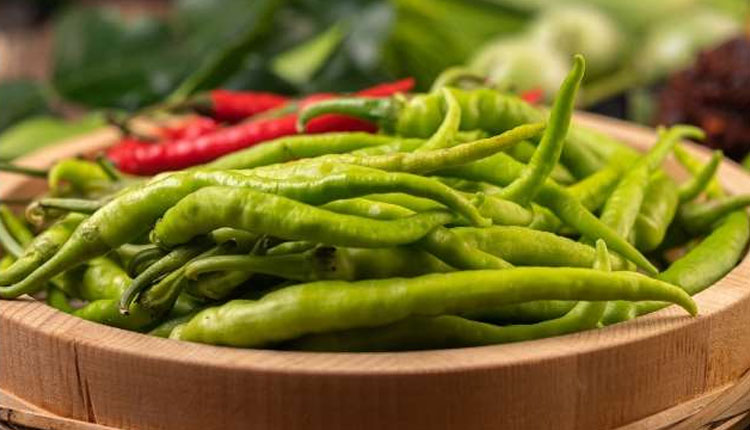 Green Chilli Benefits | green chilli is good for eyes skin immunity but is it effective for weight loss