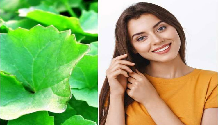 Remedies For Hair | know amazing benefits of using brahmi for hair