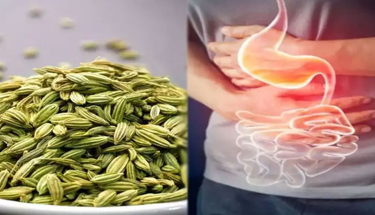 Indigestion | ayurveda doctor dixa bhavsar reveal fennel seed health benefits for indigestion acidity and other gastric problems