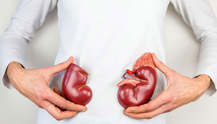Kidney Stone | how to remove kidney stone treatment tomato tulsi holy basil juice