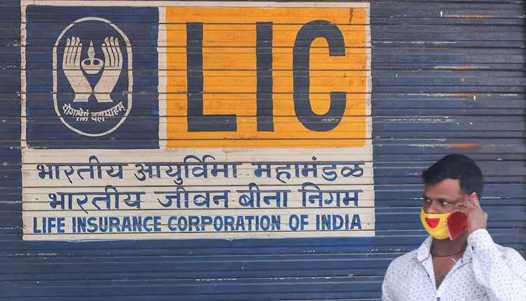 LIC IPO lic to announce maiden financial result this month shareholders to get dividend lic ipo