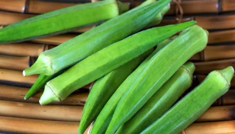 Benefits Of Lady Finger | eat lady finger diabetes patient sugar control lowers bad cholesterol immunity boost