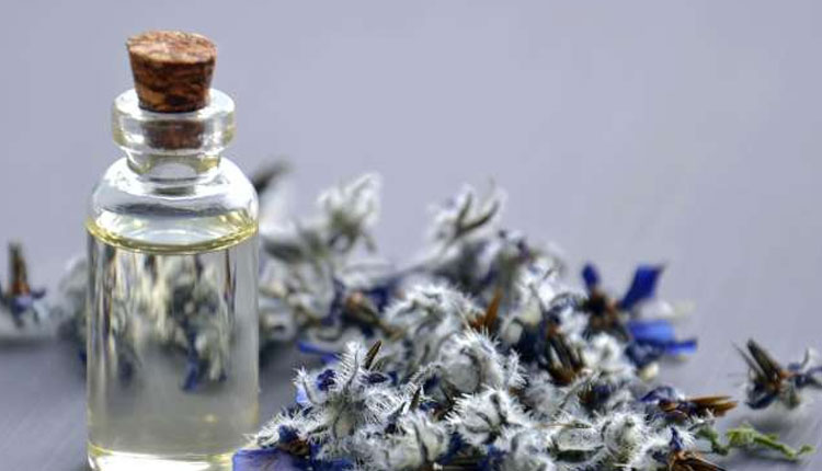 Oils To Keep Away Mosquitoes | these 3 oils are very effective to keep away mosquitoes