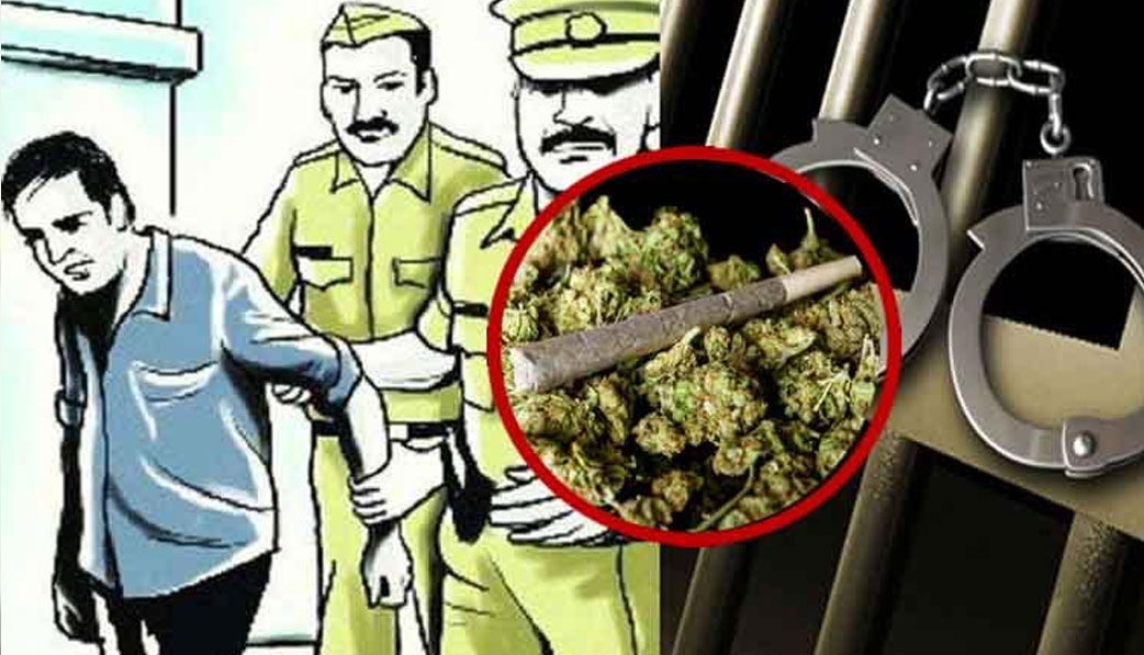 Pune Crime Pune police Crime Branch Anti Narcotic Cell arrests youth for selling cannabis at home