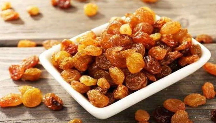 Excessive Consumption Of Raisins Is Harmful | dont eat too much raisins know about this