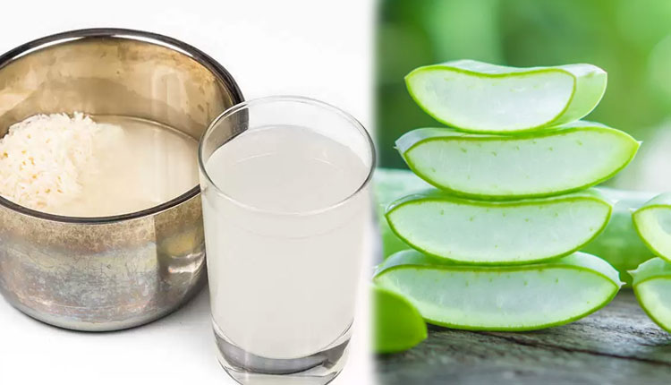 Skin Care Tips | aloe vera and rice water are extremely beneficial for the skin