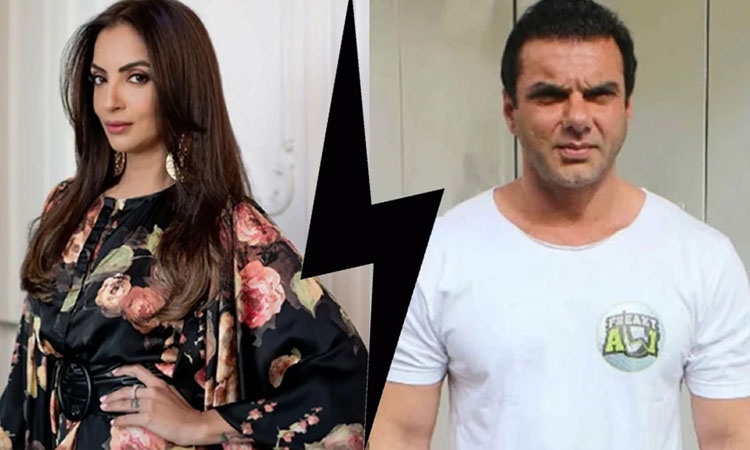Sohail Khan Affair | sohail khan rumoured affair with actress huma qureshi sohail khan and seema khan divorce