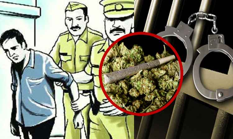 Pune Crime | Pune Police Crime Branch arrests two for selling ganja marijuana cannabis in Pune, seizes goods worth Rs 8.5 lakh