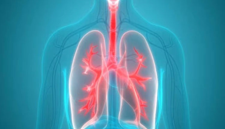 Yoga Asanas For Respiratory System | yoga asanas for respiratory system how to keep your lungs strong