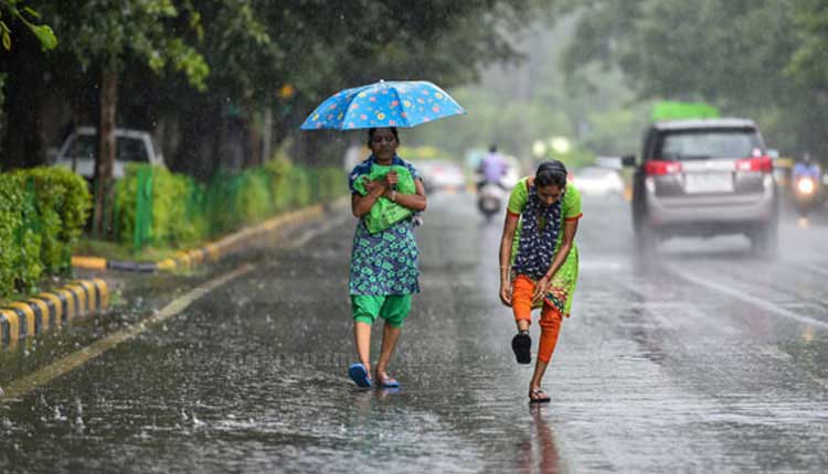 Maharashtra Monsoon Update monsoon is in full swing in maharashtra with heavy rains lashing many districts