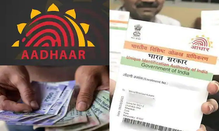 Aadhaar Card | aadhaar card download aadhaar card frauds uidai update uidai website