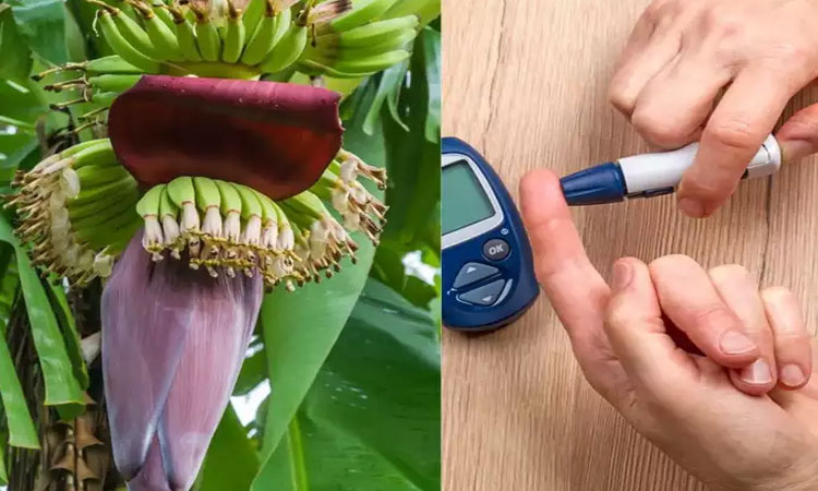 Banana Flower For Diabetes | according to several research banana flower can control blood sugar level in diabetic patients naturally