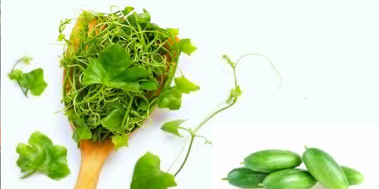 Blood Sugar | amazing benefits of kundru leafs to manage blood sugar level